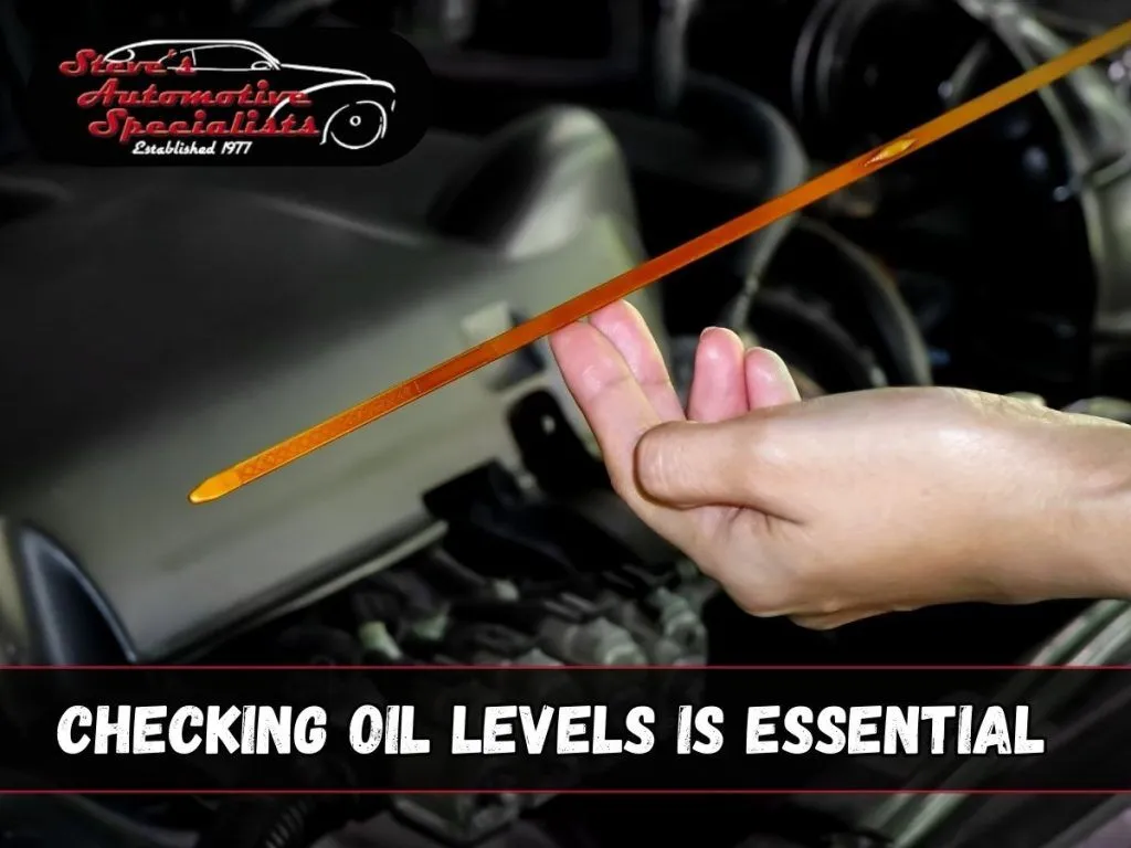 How to Check Oil
