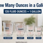how many quarts in a gallon
