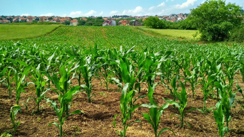 land for sale near me