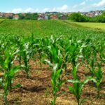 land for sale near me
