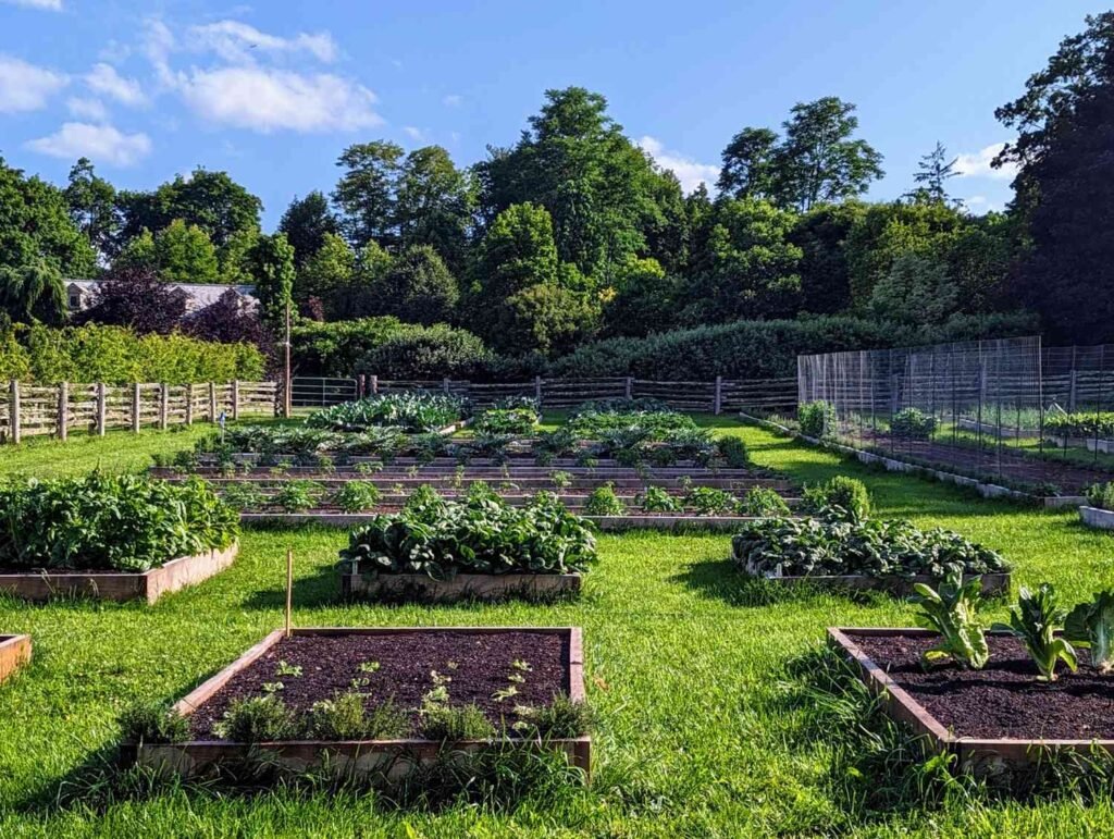 how to start a garden