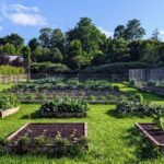 how to start a garden